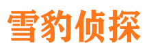 新野侦探公司